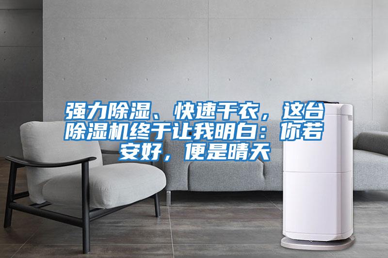 強力除濕、快速干衣,這臺除濕機終于讓我明白:你若安好,便是晴天