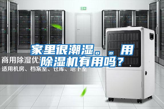 家里很潮濕。。用除濕機有用嗎?