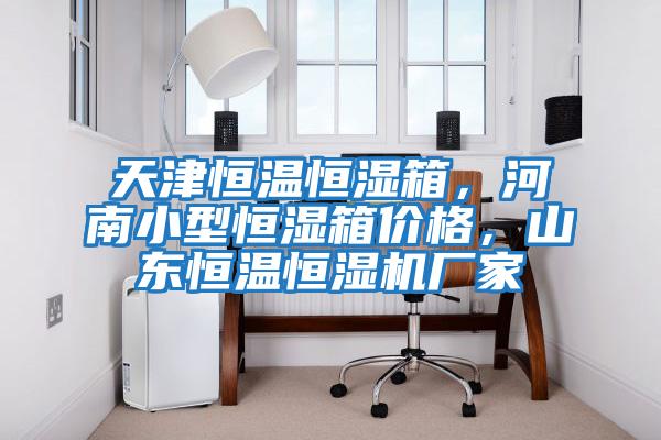 天津恒溫恒濕箱，河南小型恒濕箱價格，山東恒溫恒濕機廠家