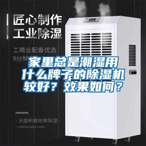 家里總是潮濕用什么牌子的除濕機較好？效果如何？