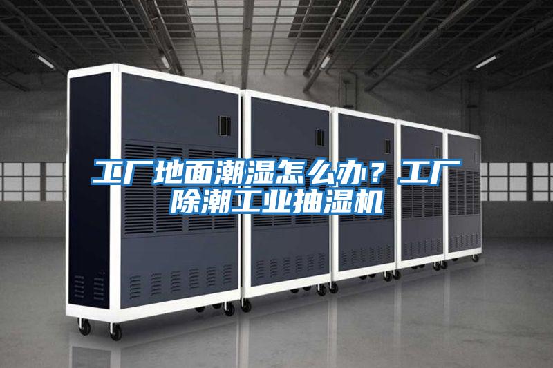 工廠地面潮濕怎么辦？工廠除潮工業(yè)抽濕機(jī)