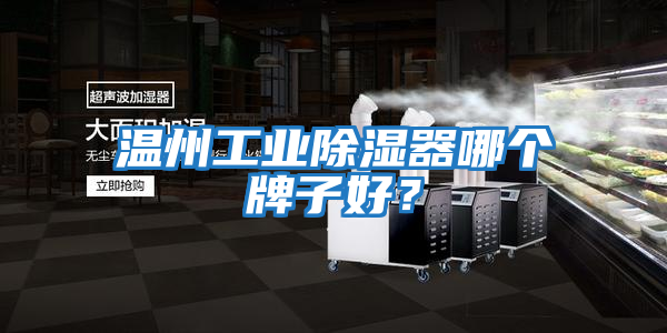 溫州工業(yè)除濕器哪個牌子好?