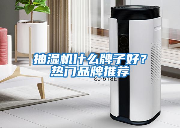 抽濕機(jī)什么牌子好?熱門(mén)品牌推薦