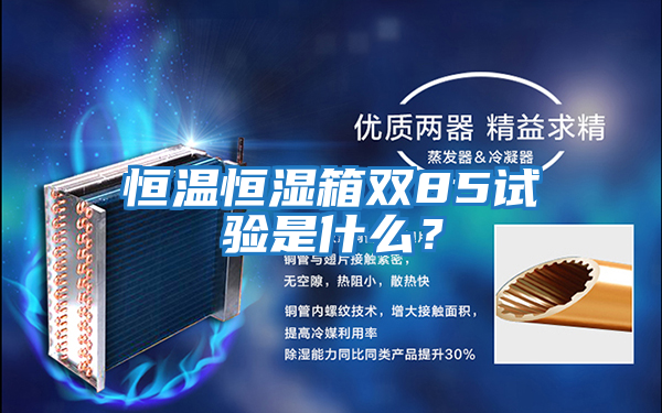 恒溫恒濕箱雙85試驗是什么？
