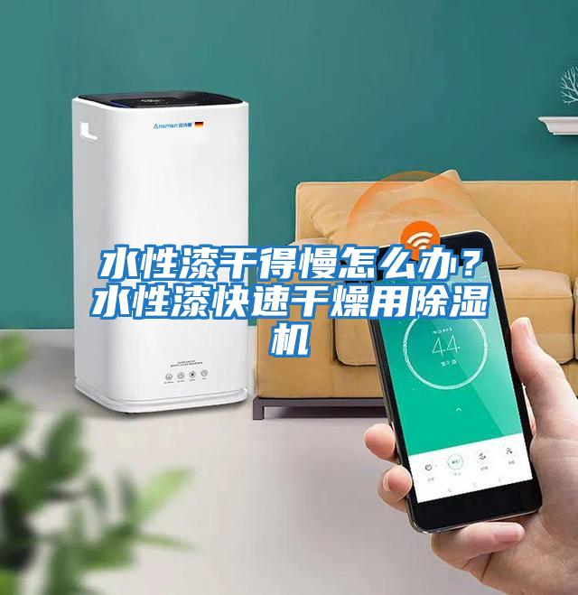 水性漆干得慢怎么辦?水性漆快速干燥用除濕機(jī)