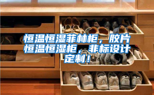 恒溫恒濕菲林柜，膠片恒溫恒濕柜，非標設計定制！