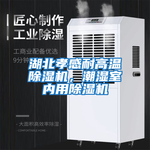 湖北孝感耐高溫除濕機，潮濕室內用除濕機
