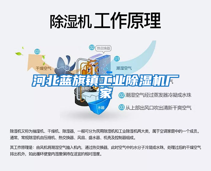 河北藍旗鎮工業除濕機廠家