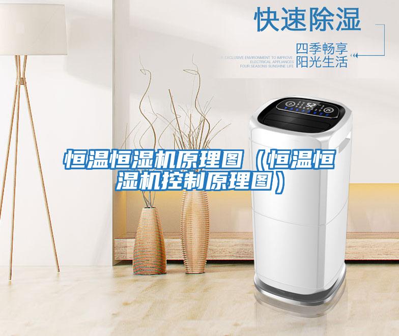 恒溫恒濕機(jī)原理圖(恒溫恒濕機(jī)控制原理圖)
