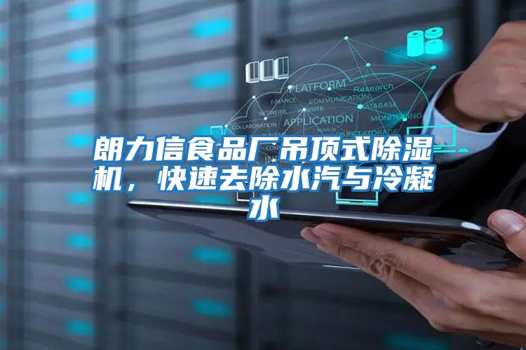 朗力信食品廠吊頂式除濕機，快速去除水汽與冷凝水