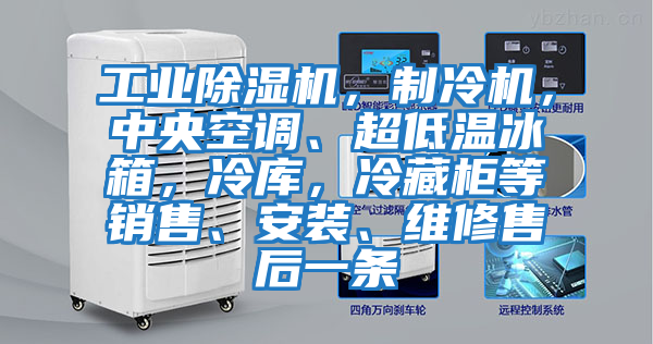 工業除濕機，制冷機，中央空調、超低溫冰箱，冷庫，冷藏柜等銷售、安裝、維修售后一條
