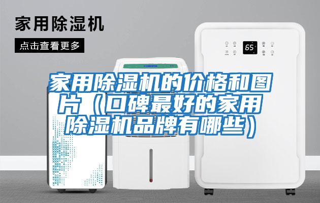 家用除濕機的價格和圖片(口碑最好的家用除濕機品牌有哪些)