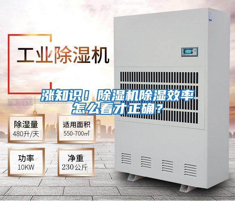 漲知識！除濕機除濕效率怎么看才正確？