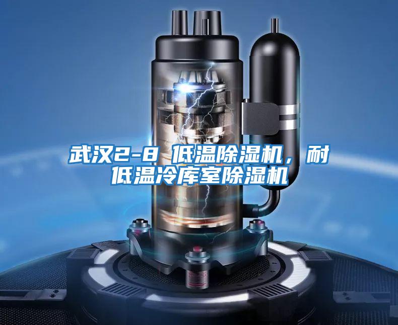 武漢2-8℃低溫除濕機,耐低溫冷庫室除濕機