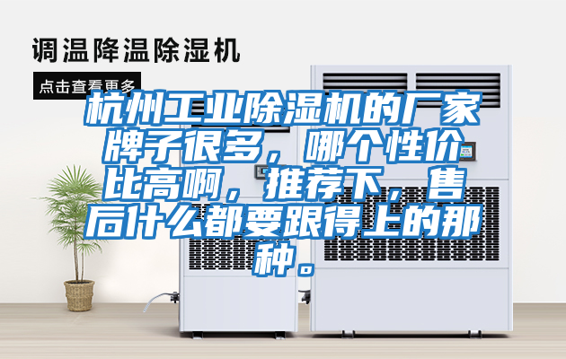 杭州工業(yè)除濕機(jī)的廠家牌子很多，哪個(gè)性價(jià)比高啊，推薦下，售后什么都要跟得上的那種。