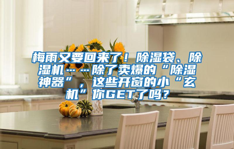 梅雨又要回來了！除濕袋、除濕機……除了賣爆的“除濕神器”，這些開窗的小“玄機”你GET了嗎？