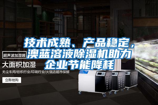 技術(shù)成熟、產(chǎn)品穩(wěn)定,澳藍溶液除濕機助力企業(yè)節(jié)能降耗