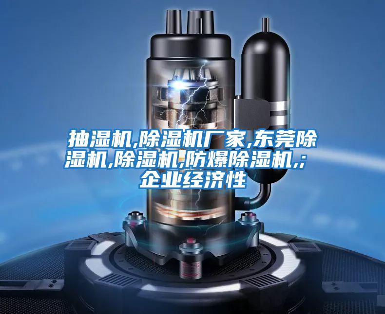 抽濕機(jī),除濕機(jī)廠(chǎng)家,東莞除濕機(jī),除濕機(jī),防爆除濕機(jī),; 企業(yè)經(jīng)濟(jì)性