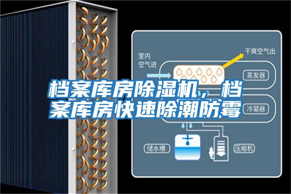 檔案庫房除濕機(jī)，檔案庫房快速除潮防霉