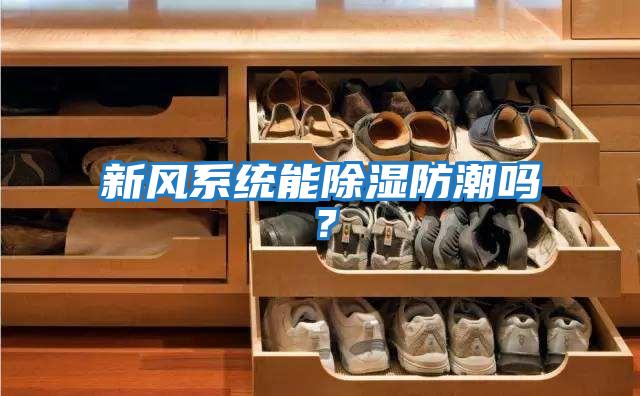 新風系統能除濕防潮嗎？