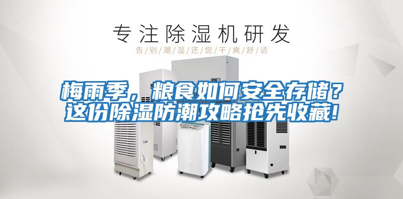 梅雨季，糧食如何安全存儲(chǔ)？這份除濕防潮攻略搶先收藏!
