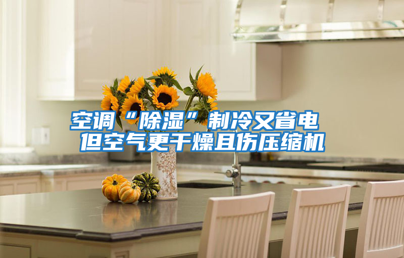 空調“除濕”制冷又省電 但空氣更干燥且傷壓縮機