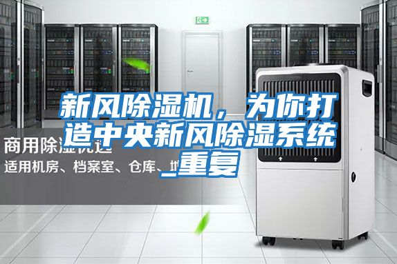 新風除濕機,為你打造中央新風除濕系統(tǒng)_重復