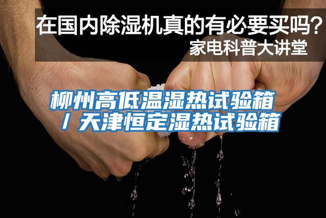 柳州高低溫濕熱試驗箱/天津恒定濕熱試驗箱