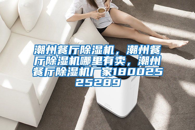 潮州餐廳除濕機(jī)，潮州餐廳除濕機(jī)哪里有賣，潮州餐廳除濕機(jī)廠家18002525289