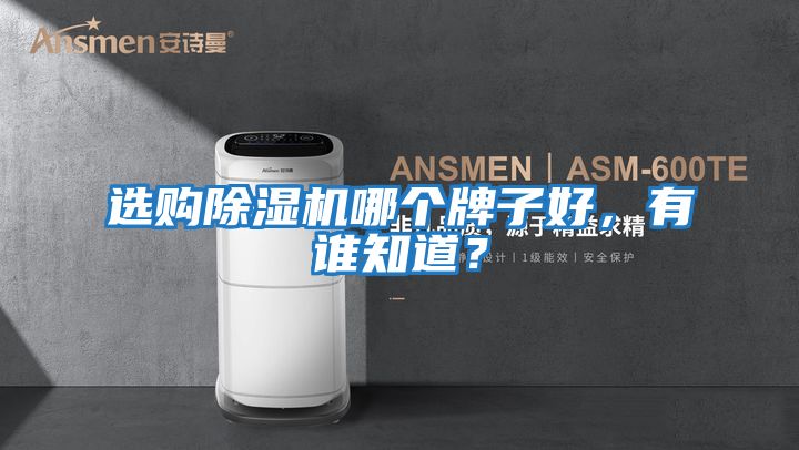 選購除濕機哪個牌子好，有誰知道？