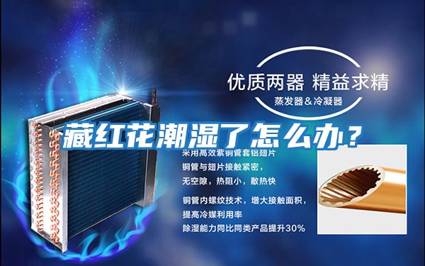 藏紅花潮濕了怎么辦？
