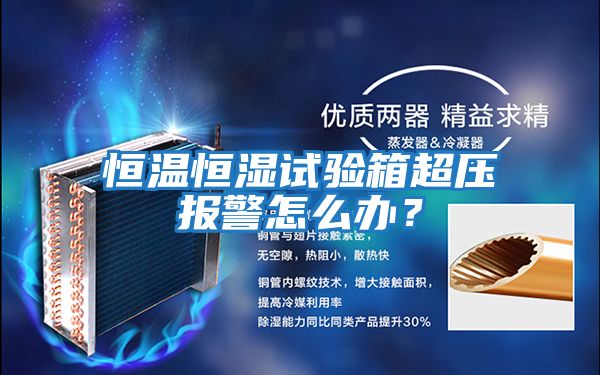 恒溫恒濕試驗箱超壓報警怎么辦？
