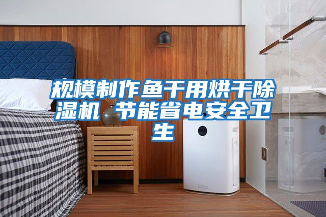 規模制作魚干用烘干除濕機 節能省電安全衛生