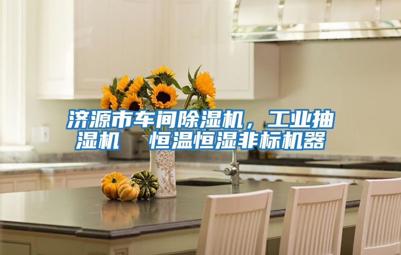 濟源市車間除濕機，工業(yè)抽濕機  恒溫恒濕非標機器