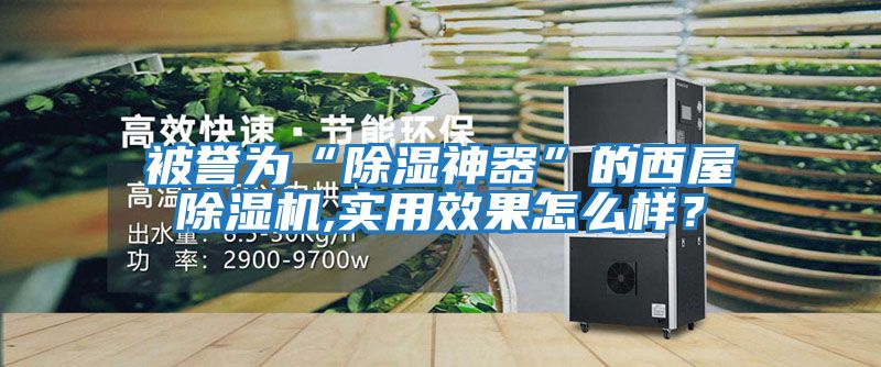 被譽為“除濕神器”的西屋除濕機,實用效果怎么樣？