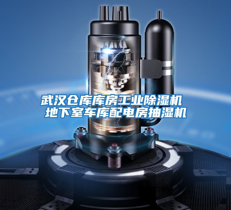武漢倉庫庫房工業除濕機 地下室車庫配電房抽濕機