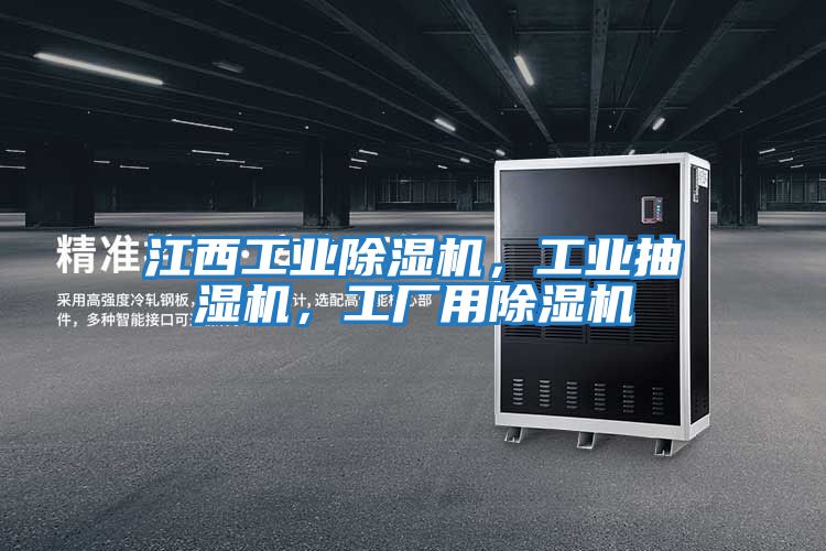 江西工業除濕機，工業抽濕機，工廠用除濕機