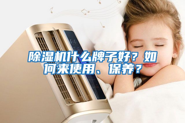 除濕機(jī)什么牌子好？如何來(lái)使用、保養(yǎng)？