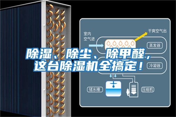除濕、除塵、除甲醛，這臺除濕機(jī)全搞定！