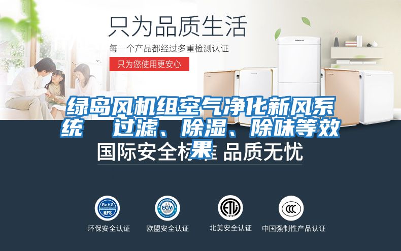 綠島風機組空氣凈化新風系統  過濾、除濕、除味等效果