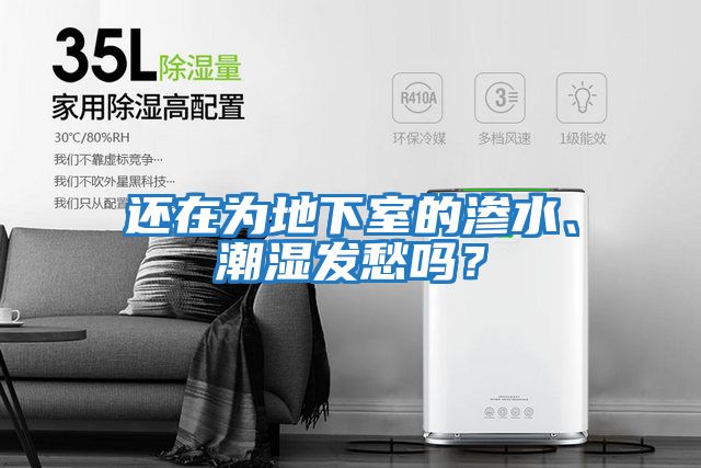 還在為地下室的滲水、潮濕發愁嗎？