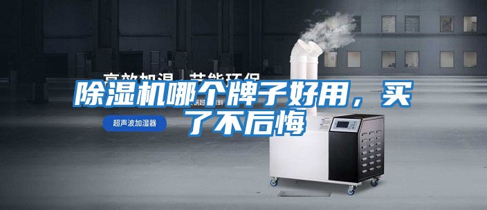 除濕機(jī)哪個(gè)牌子好用,買了不后悔