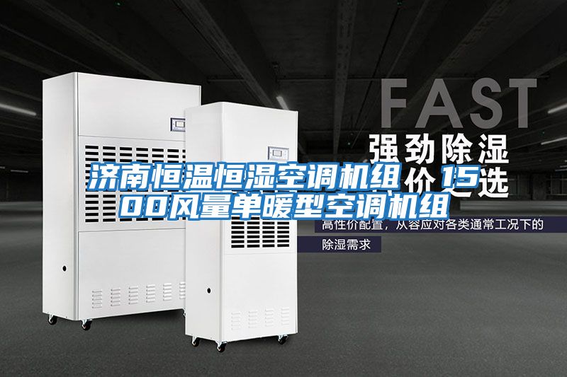 濟南恒溫恒濕空調(diào)機組  1500風量單暖型空調(diào)機組