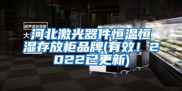 河北激光器件恒溫恒濕存放柜品牌(有效！2022已更新)