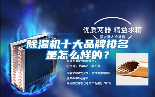 除濕機十大品牌排名是怎么樣的?