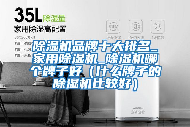 除濕機(jī)品牌十大排名_家用除濕機(jī)_除濕機(jī)哪個(gè)牌子好(什么牌子的除濕機(jī)比較好)