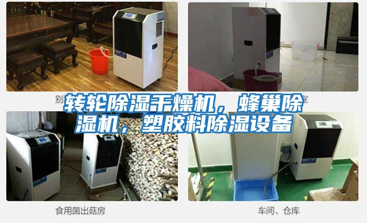 轉(zhuǎn)輪除濕干燥機(jī)，蜂巢除濕機(jī)，塑膠料除濕設(shè)備