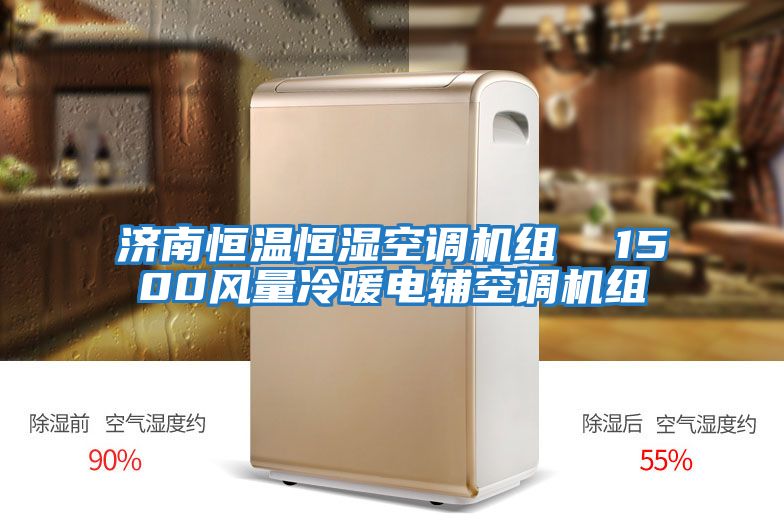 濟南恒溫恒濕空調(diào)機組  1500風量冷暖電輔空調(diào)機組