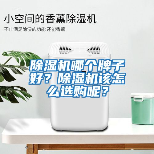 除濕機(jī)哪個牌子好?除濕機(jī)該怎么選購呢?