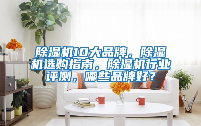 除濕機10大品牌，除濕機選購指南，除濕機行業(yè)評測，哪些品牌好？